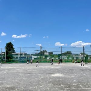 シートバッティング シートバッティング
