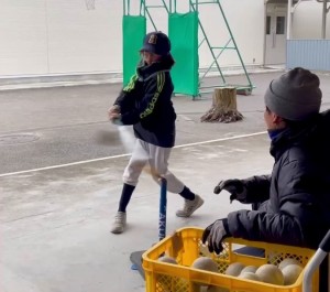 haru haru