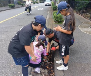 街路樹清掃1 街路樹清掃1